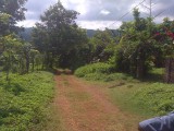 Portland Residential Lot MLS12196, Portland, Jamaica - Residential lot for Sale